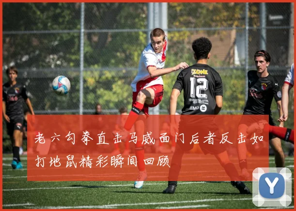 老六勾拳直击马威面门后者反击如打地鼠精彩瞬间回顾