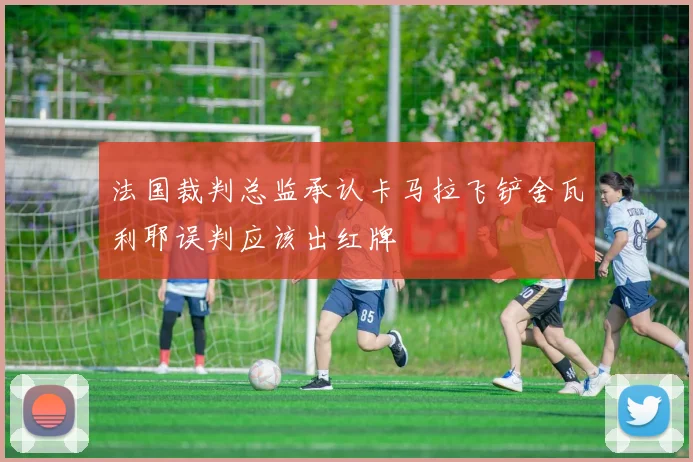 法国裁判总监承认卡马拉飞铲舍瓦利耶误判应该出红牌