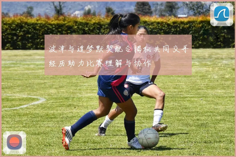 波津与追梦默契配合揭秘共同交手经历助力比赛理解与协作