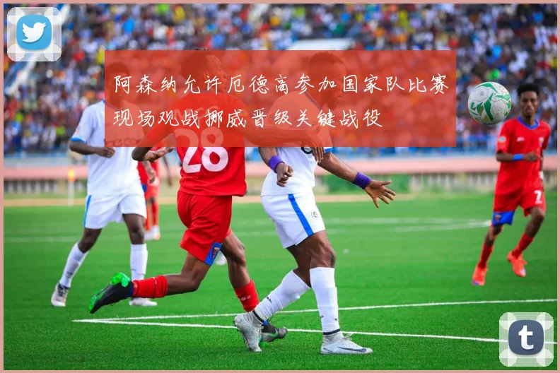 阿森纳允许厄德高参加国家队比赛现场观战挪威晋级关键战役