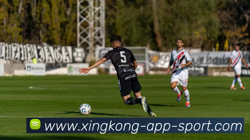 星空体育平台生态图