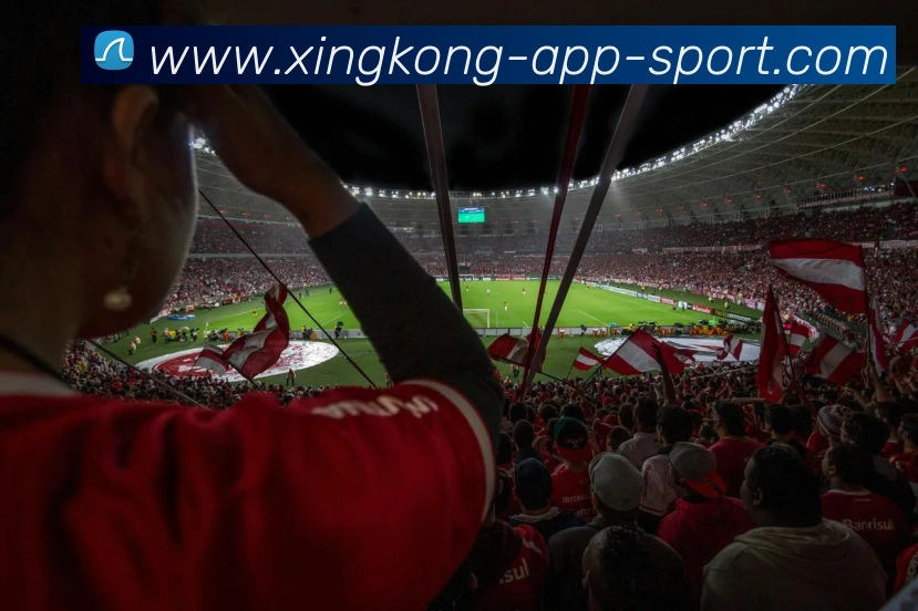 星空体育APP 封面图